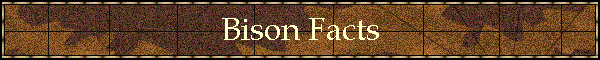 Bison Facts