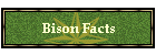 Bison Facts