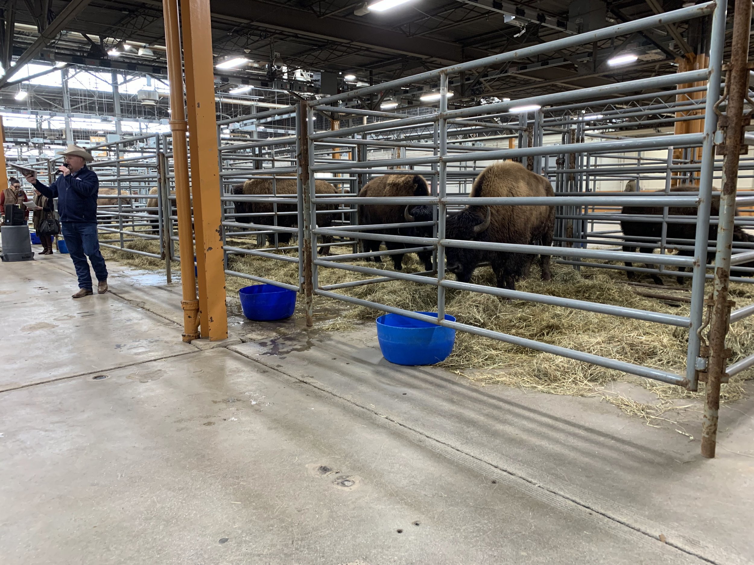 EBA Show and Sale