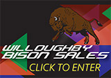 banner-ad-willoughby-sales-160x113